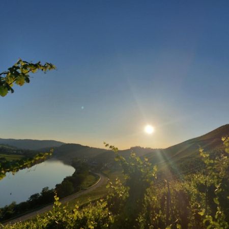 Ferienwohnungen Zum Niederberg Лизер Экстерьер фото