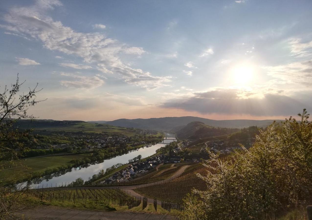 Ferienwohnungen Zum Niederberg Лизер Экстерьер фото