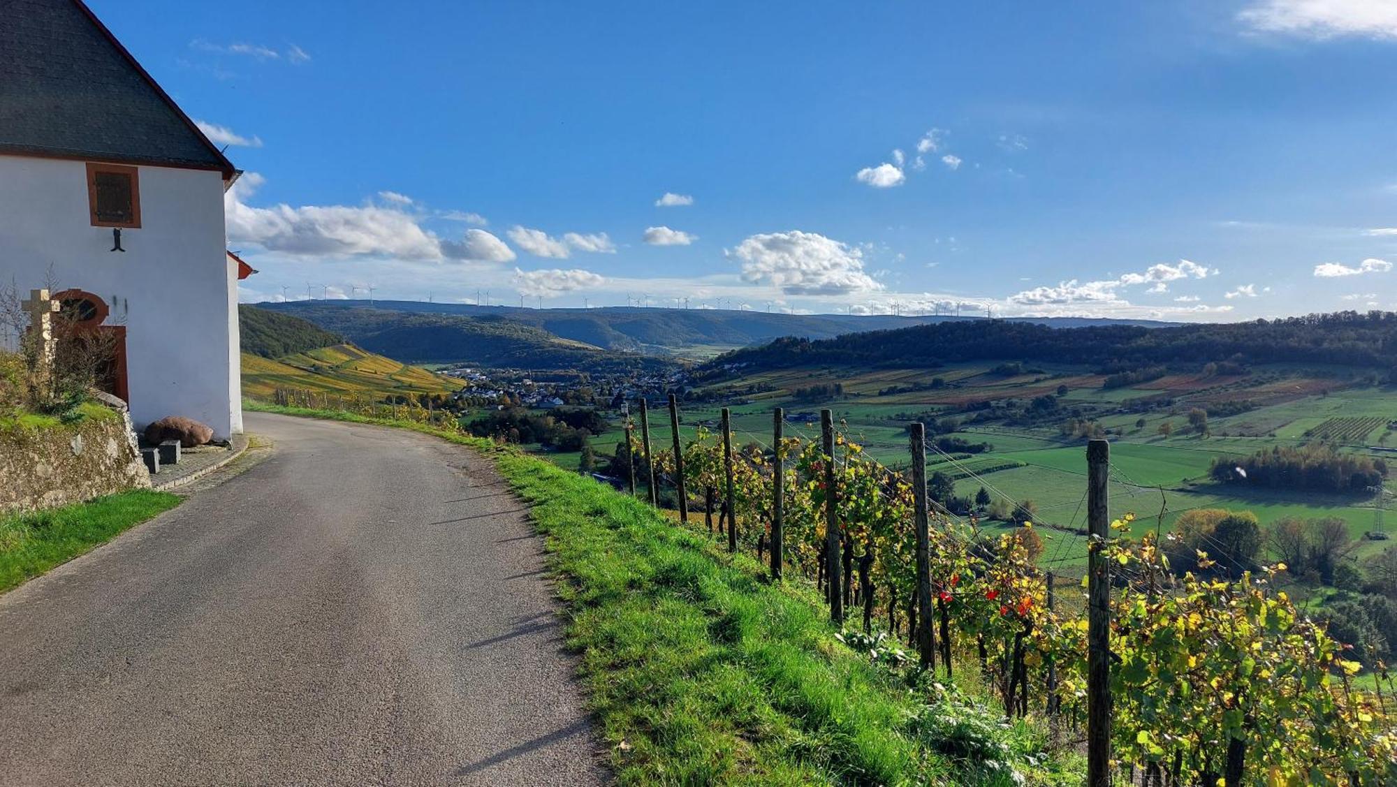 Ferienwohnungen Zum Niederberg Лизер Экстерьер фото